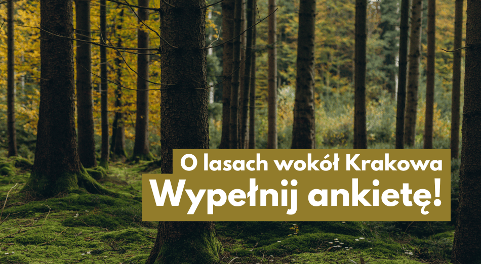 Wypełnij ankietę o lasach wokół Krakowa