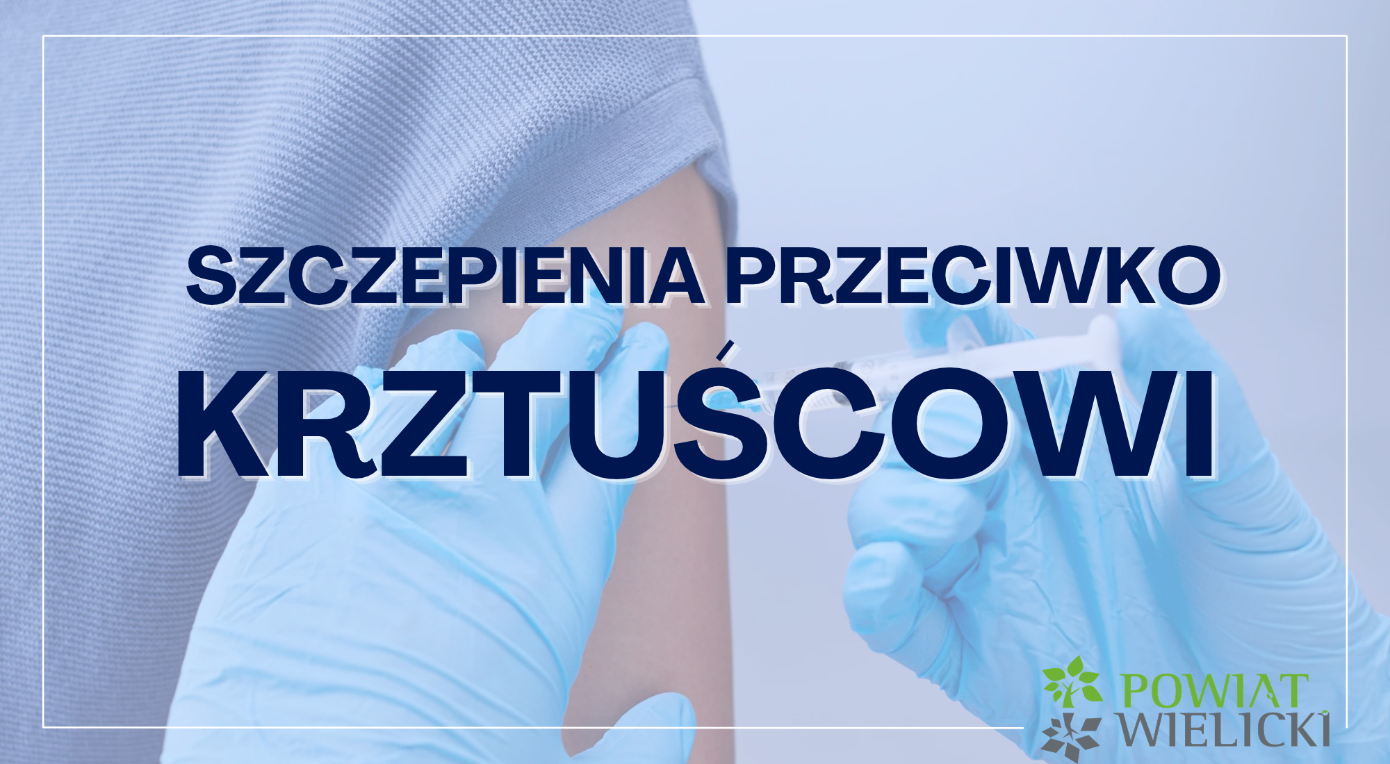 Szczepienia przeciwko krztuścowi