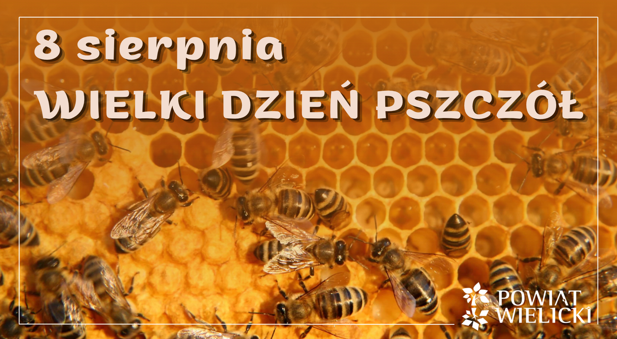 8 sierpnia obchodzimy WIELKI DZIEŃ PSZCZÓŁ